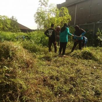 kegiatan pengelolaan kebun smk al-basith